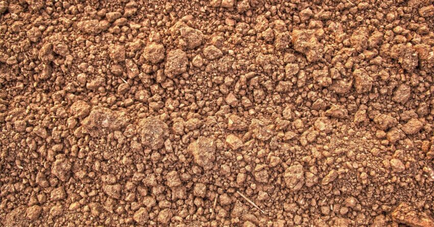 Perlit talajjavítás - kertépítés szakember tippjai